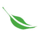 Taylor Farms logo